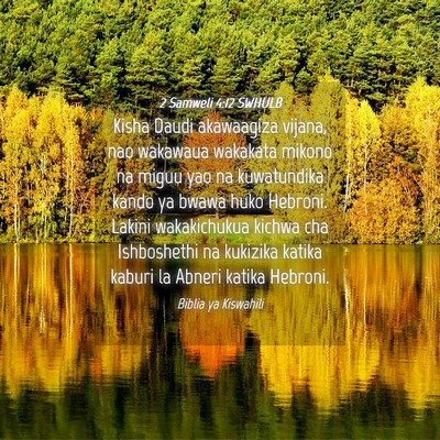 Picture 04 - 2 Samweli 4:12 SWHULB - Kisha Daudi akawaagiza vijana, nao wakawaua - Bible Verse Picture