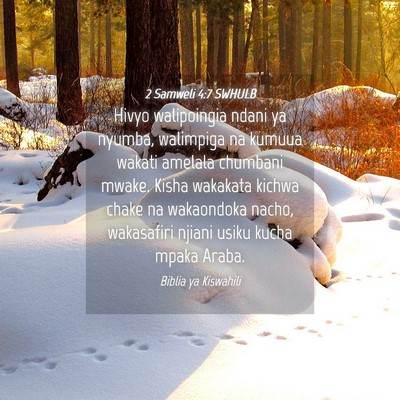 Picture 04 - 2 Samweli 4:7 SWHULB - Hivyo walipoingia ndani ya nyumba, walimpiga na - Bible Verse Picture