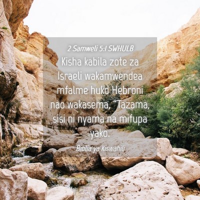 Picture 04 - 2 Samweli 5:1 SWHULB - Kisha kabila zote za Israeli wakamwendea mfalme - Bible Verse Picture