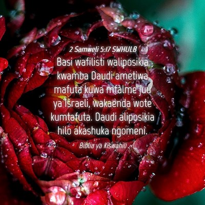 Picture 04 - 2 Samweli 5:17 SWHULB - Basi wafilisti waliposikia kwamba Daudi ametiwa - Bible Verse Picture