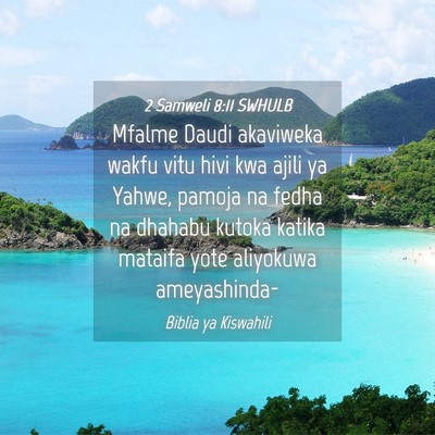 Picture 04 - 2 Samweli 8:11 SWHULB - Mfalme Daudi akaviweka wakfu vitu hivi kwa ajili - Bible Verse Picture