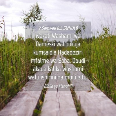 Picture 04 - 2 Samweli 8:5 SWHULB - Wakati Washami wa Dameski walipokuja kumsaidia - Bible Verse Picture