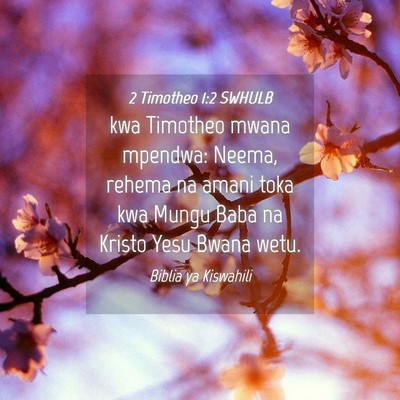 Picture 04 - 2 Timotheo 1:2 SWHULB - kwa Timotheo mwana mpendwa: Neema, rehema na - Bible Verse Picture