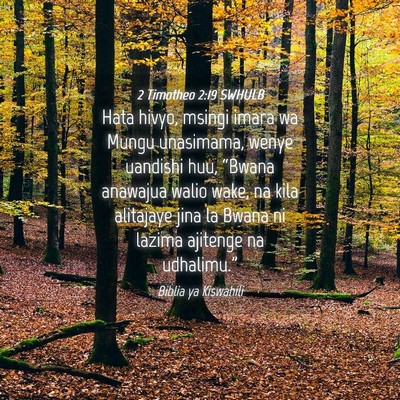 Picture 04 - 2 Timotheo 2:19 SWHULB - Hata hivyo, msingi imara wa Mungu unasimama, - Bible Verse Picture