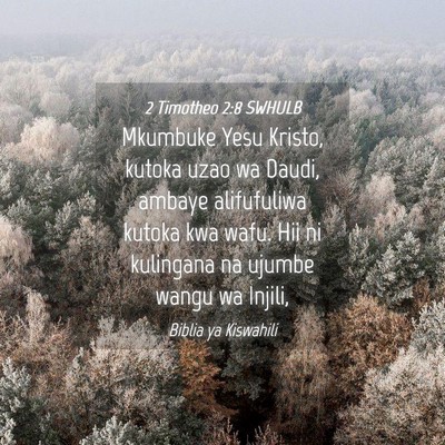 Picture 04 - 2 Timotheo 2:8 SWHULB - Mkumbuke Yesu Kristo, kutoka uzao wa Daudi, - Bible Verse Picture