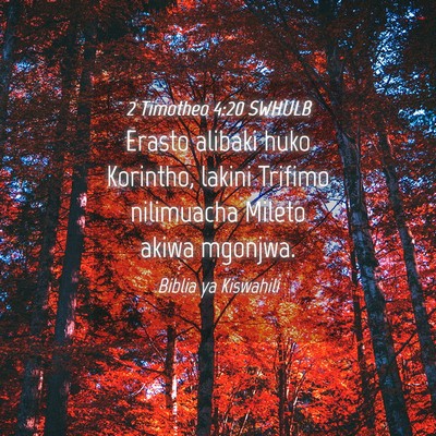 Picture 04 - 2 Timotheo 4:20 SWHULB - Erasto alibaki huko Korintho, lakini Trifimo - Bible Verse Picture