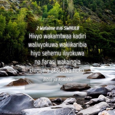 Picture 04 - 2 Wafalme 11:16 SWHULB - Hivyo wakamtwaa kadiri walivyokuwa wakiikaribia - Bible Verse Picture