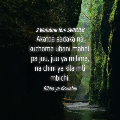 Picture 04 - 2 Wafalme 16:4 SWHULB - Akatoa sadaka na kuchoma ubani mahali pa juu, juu - Bible Verse Picture