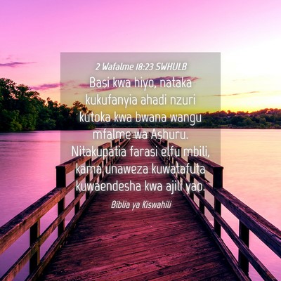 Picture 04 - 2 Wafalme 18:23 SWHULB - Basi kwa hiyo, nataka kukufanyia ahadi nzuri - Bible Verse Picture