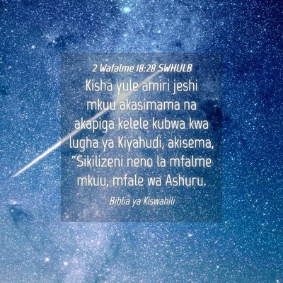 Picture 04 - 2 Wafalme 18:28 SWHULB - Kisha yule amiri jeshi mkuu akasimama na akapiga - Bible Verse Picture