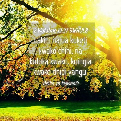 Picture 04 - 2 Wafalme 19:27 SWHULB - Lakini najua kuketi kwako chini, na kutoka kwako, - Bible Verse Picture