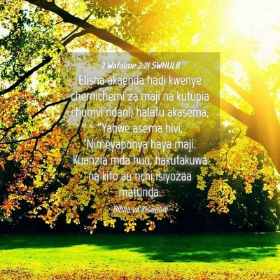 Picture 04 - 2 Wafalme 2:21 SWHULB - Elisha akaenda hadi kwenye chemichemi za maji na - Bible Verse Picture