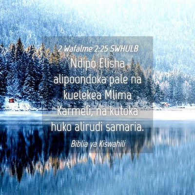 Picture 04 - 2 Wafalme 2:25 SWHULB - Ndipo Elisha alipoondoka pale na kuelekea Mlima - Bible Verse Picture