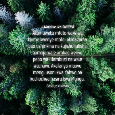 Picture 04 - 2 Wafalme 21:6 SWHULB - Akamuweka mtoto wake wa kiume kwenye moto; - Bible Verse Picture