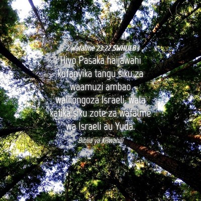 Picture 04 - 2 Wafalme 23:22 SWHULB - Hiyo Pasaka haijawahi kufanyika tangu siku za - Bible Verse Picture