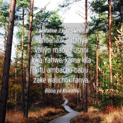Picture 04 - 2 Wafalme 23:32 SWHULB - Yehoahazi alifanya yaliyo maovu usoni kwa Yahwe, - Bible Verse Picture