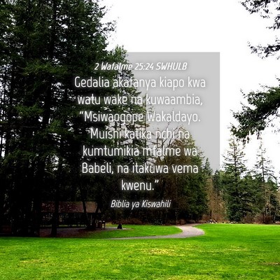 Picture 04 - 2 Wafalme 25:24 SWHULB - Gedalia akafanya kiapo kwa watu wake na - Bible Verse Picture
