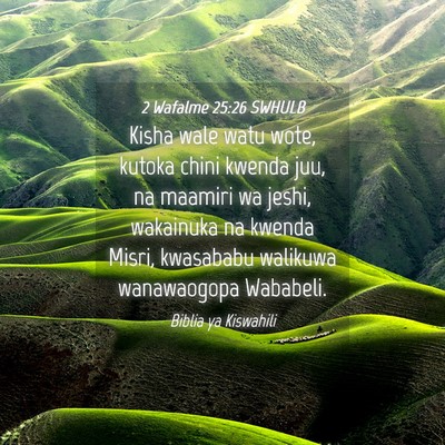 Picture 04 - 2 Wafalme 25:26 SWHULB - Kisha wale watu wote, kutoka chini kwenda juu, na - Bible Verse Picture