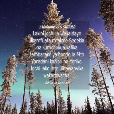 Picture 04 - 2 Wafalme 25:5 SWHULB - Lakini jeshi la Wakaldayo likamfuata mfalme - Bible Verse Picture