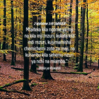 Picture 04 - 2 Wafalme 3:19 SWHULB - Mtaiteka kila ngome ya mji na kila mji mzuri, - Bible Verse Picture