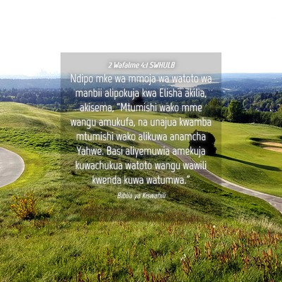 Picture 04 - 2 Wafalme 4:1 SWHULB - Ndipo mke wa mmoja wa watoto wa manbii alipokuja - Bible Verse Picture