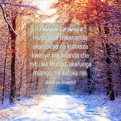 Picture 04 - 2 Wafalme 4:21 SWHULB - Hivyo yule mwanamke akambeba na kumlaza kwenye - Bible Verse Picture