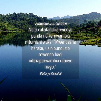 Picture 04 - 2 Wafalme 4:24 SWHULB - Ndipo akatandika kwenye punda na kumwambia - Bible Verse Picture