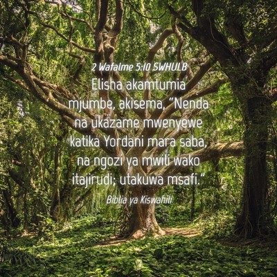 Picture 04 - 2 Wafalme 5:10 SWHULB - Elisha akamtumia mjumbe, akisema, “Nenda na - Bible Verse Picture