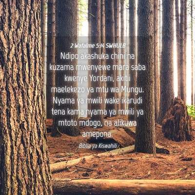 Picture 04 - 2 Wafalme 5:14 SWHULB - Ndipo akashuka chini na kuzama mwenyewe mara saba - Bible Verse Picture