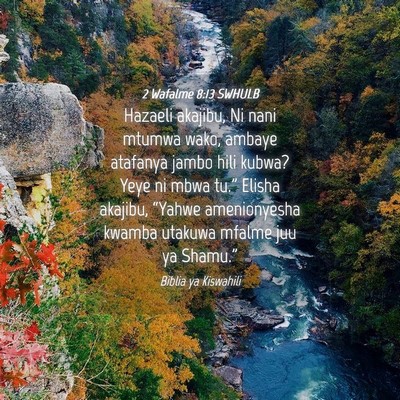 Picture 04 - 2 Wafalme 8:13 SWHULB - Hazaeli akajibu, Ni nani mtumwa wako, ambaye - Bible Verse Picture