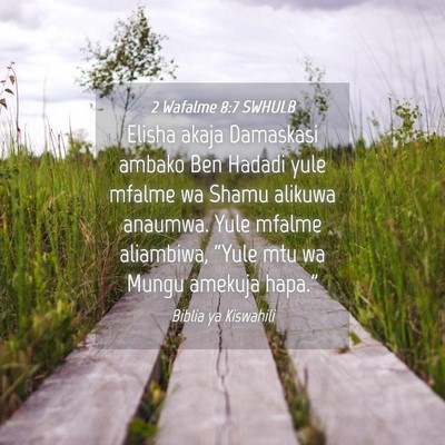 Picture 04 - 2 Wafalme 8:7 SWHULB - Elisha akaja Damaskasi ambako Ben Hadadi yule - Bible Verse Picture