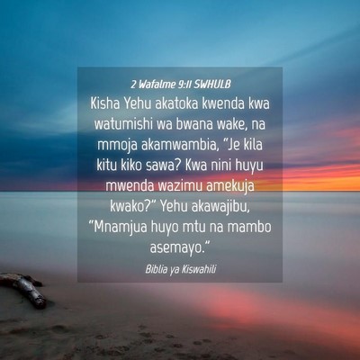 Picture 04 - 2 Wafalme 9:11 SWHULB - Kisha Yehu akatoka kwenda kwa watumishi wa bwana - Bible Verse Picture