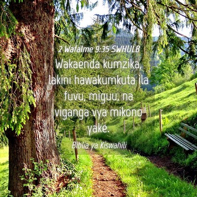Picture 04 - 2 Wafalme 9:35 SWHULB - Wakaenda kumzika, lakini hawakumkuta ila fuvu, - Bible Verse Picture