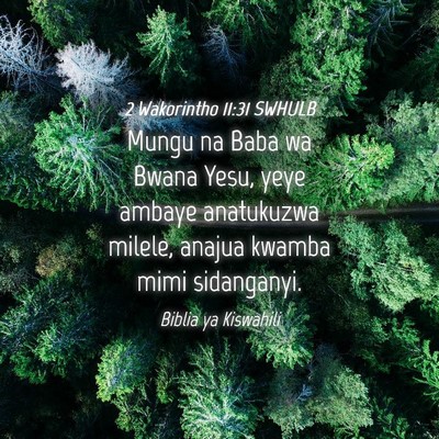 Picture 04 - 2 Wakorintho 11:31 SWHULB - Mungu na Baba wa Bwana Yesu, yeye ambaye - Bible Verse Picture