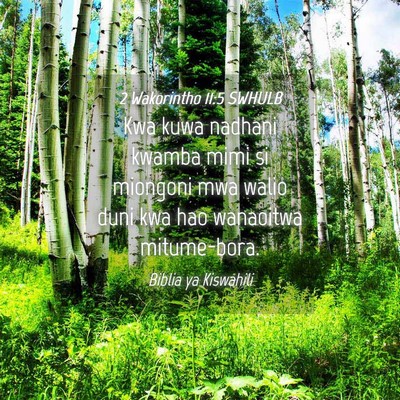 Picture 04 - 2 Wakorintho 11:5 SWHULB - Kwa kuwa nadhani kwamba mimi si miongoni mwa - Bible Verse Picture