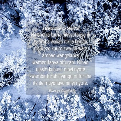 Picture 04 - 2 Wakorintho 2:3 SWHULB - Niliandika kama nilivyofanya ili kwamba wakati - Bible Verse Picture