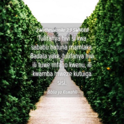 Picture 04 - 2 Wathesalonike 3:9 SWHULB - Tulifanya hivi si kwa sababu hatuna mamlaka. - Bible Verse Picture