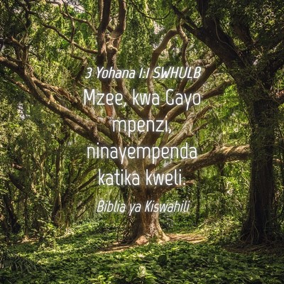 Picture 04 - 3 Yohana 1:1 SWHULB - Mzee, kwa Gayo mpenzi, ninayempenda katika - Bible Verse Picture