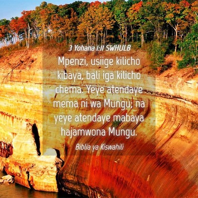 Picture 04 - 3 Yohana 1:11 SWHULB - Mpenzi, usiige kilicho kibaya, bali iga kilicho - Bible Verse Picture
