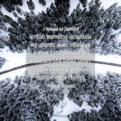 Picture 04 - 3 Yohana 1:6 SWHULB - ambao wametoa ushuhuda wa upendo wako mbele ya - Bible Verse Picture