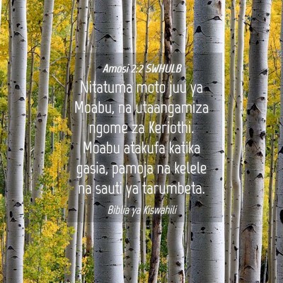 Picture 04 - Amosi 2:2 SWHULB - Nitatuma moto juu ya Moabu, na utaangamiza ngome - Bible Verse Picture