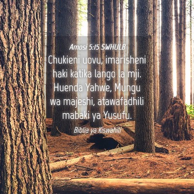 Picture 04 - Amosi 5:15 SWHULB - Chukieni uovu, imarisheni haki katika lango la - Bible Verse Picture