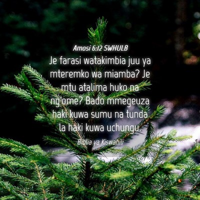 Picture 04 - Amosi 6:12 SWHULB - Je farasi watakimbia juu ya mteremko wa miamba? - Bible Verse Picture