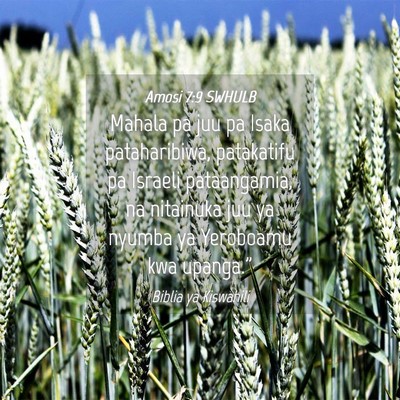 Picture 04 - Amosi 7:9 SWHULB - Mahala pa juu pa Isaka pataharibiwa, patakatifu - Bible Verse Picture