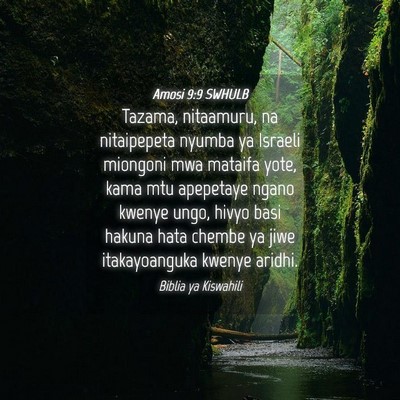 Picture 04 - Amosi 9:9 SWHULB - Tazama, nitaamuru, na nitaipepeta nyumba ya - Bible Verse Picture