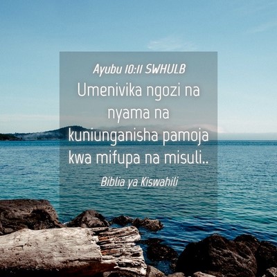Picture 04 - Ayubu 10:11 SWHULB - Umenivika ngozi na nyama na kuniunganisha pamoja - Bible Verse Picture
