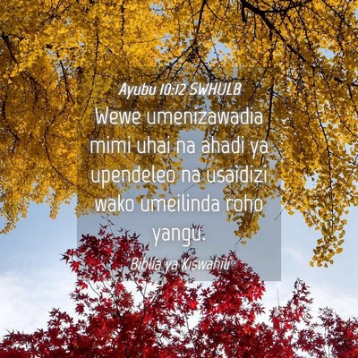 Picture 04 - Ayubu 10:12 SWHULB - Wewe umenizawadia mimi uhai na ahadi ya upendeleo - Bible Verse Picture