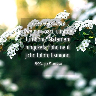 Picture 04 - Ayubu 10:18 SWHULB - Kwa nini, basi, ulinitoa tumboni? Natamani - Bible Verse Picture