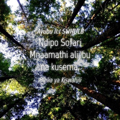 Picture 04 - Ayubu 11:1 SWHULB - Ndipo Sofari Mnaamathi alijibu na - Bible Verse Picture
