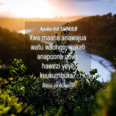 Picture 04 - Ayubu 11:11 SWHULB - Kwa maana anawajua watu waongo; wakati anapoona - Bible Verse Picture
